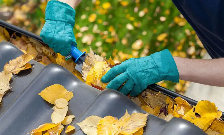 Gloved hands pulling wet leaves out of a house gutter